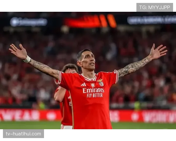 本菲卡老将奥塔门迪为世界杯保持状态 成穆帅防线核心关键